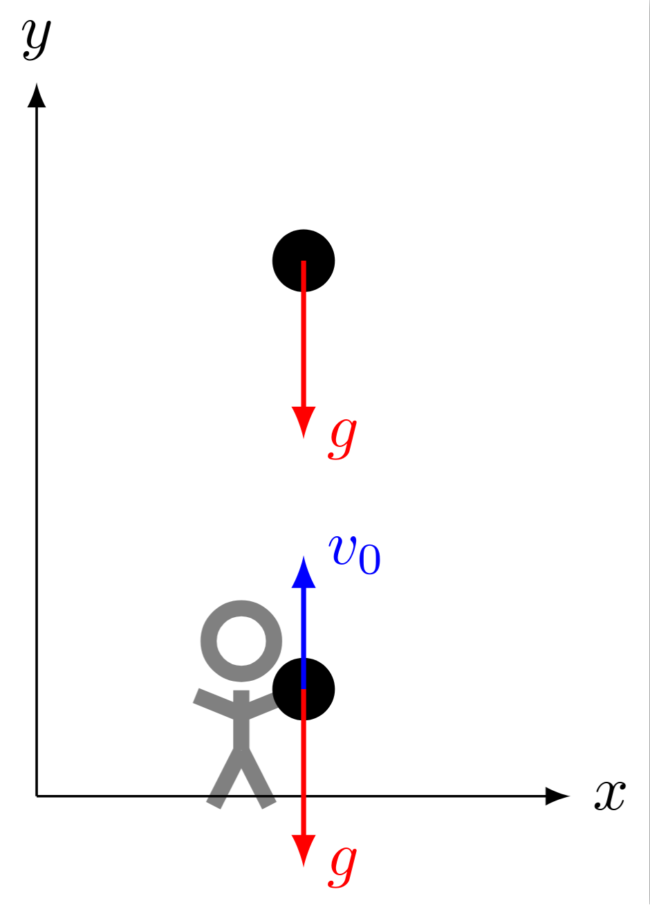 Vertical Throw